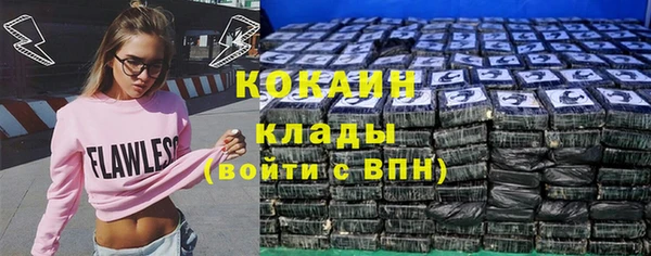 шишки Арсеньев
