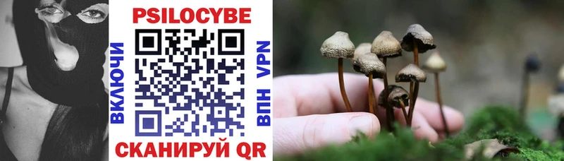 купить наркотики цена  Малоярославец  Галлюциногенные грибы Cubensis 